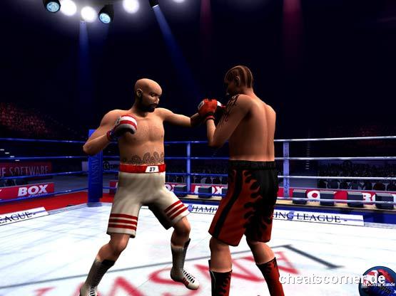 Boxsport Manager Screenshot #3