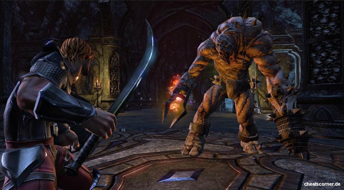 Elder Scrolls Online Screenshot #8