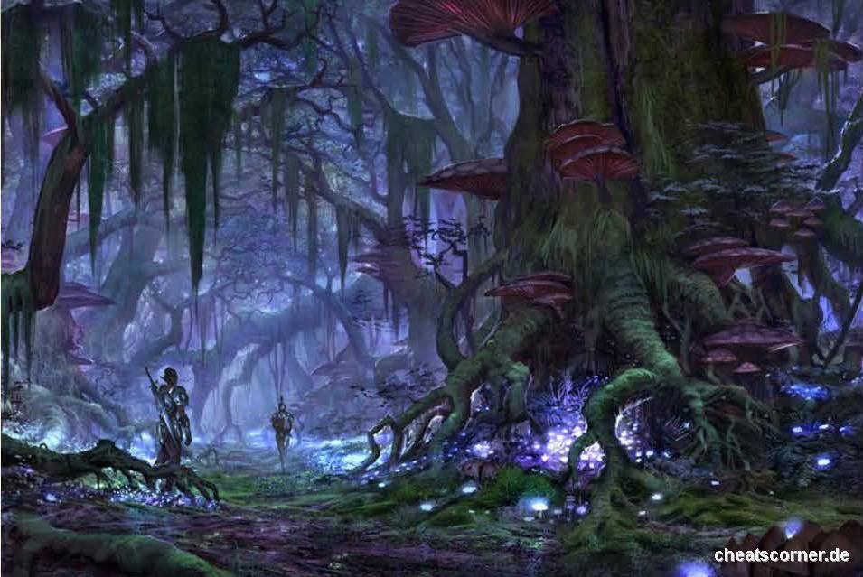 Elder Scrolls Online Screenshot #13