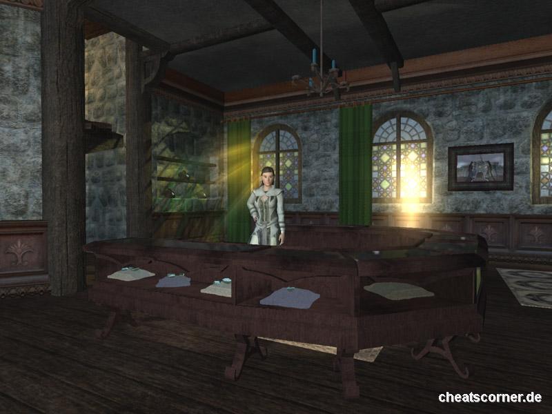 EverQuest 2 Screenshot #13