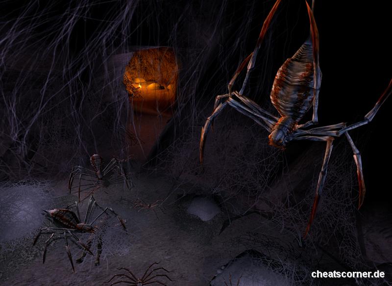 Lord of the Rings online Screenshot #6