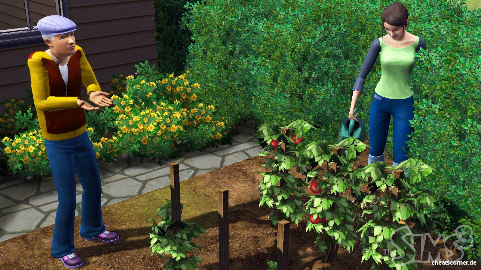 Sims 3 Screenshot #9