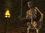 Screenshot von Morrowind (PC) - Screenshot #6