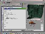 Screenshot von Morrowind (PC) - Screenshot #8
