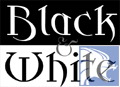 Black & White: Developer-Patch ONLINE !!!