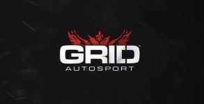 GRID Autosport: Systemvoraussetzungen